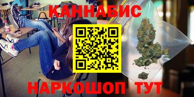 шишки Тверь
