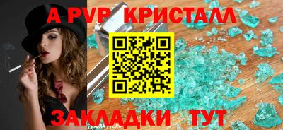 шишки Тверь