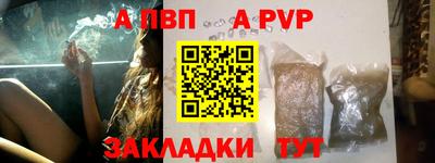 шишки Тверь